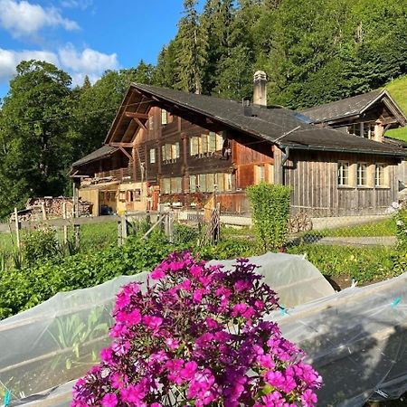Ferienhaus Schoenenmatte Zweisimmen Buitenkant foto