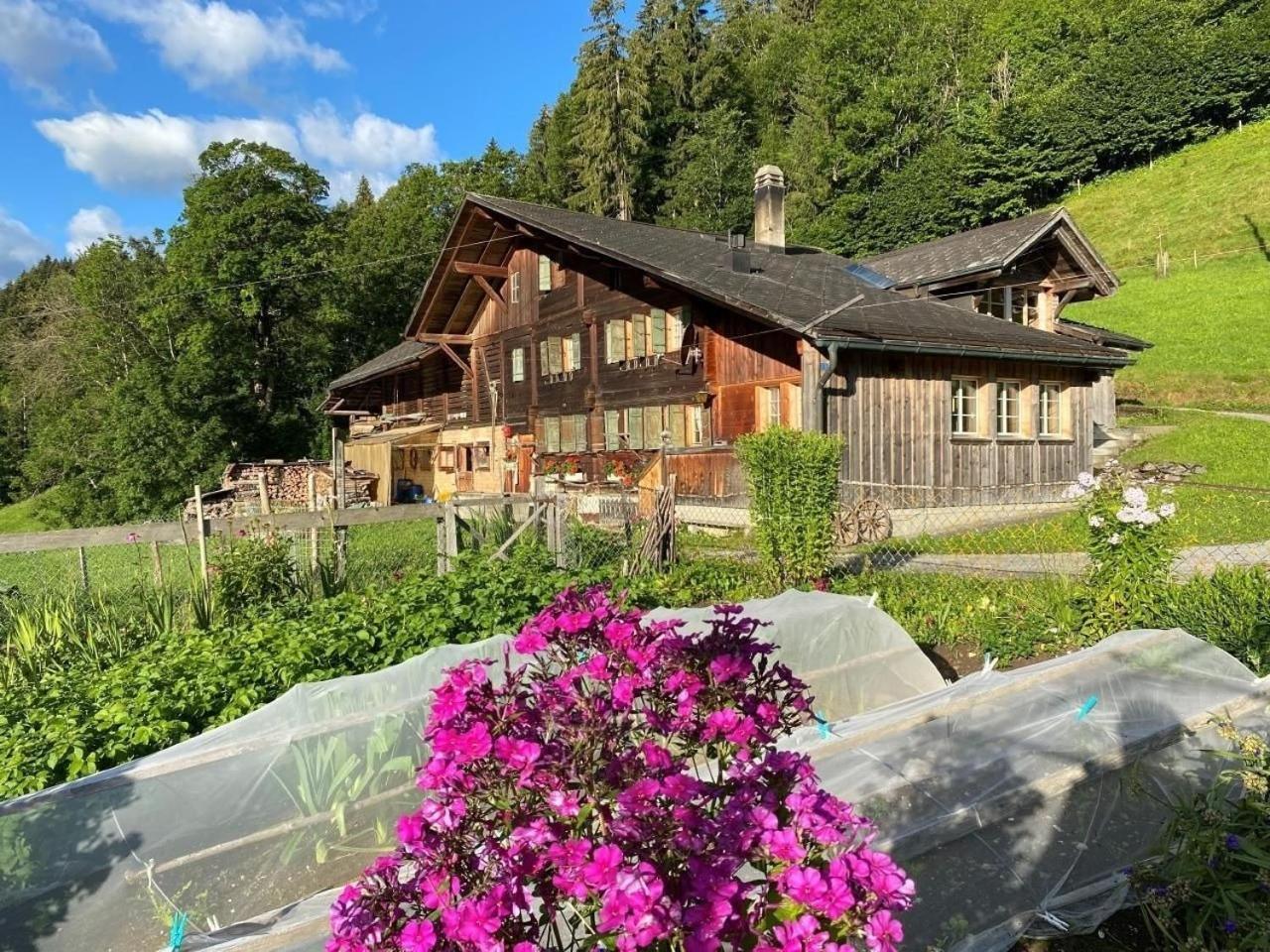 Ferienhaus Schoenenmatte Zweisimmen Buitenkant foto